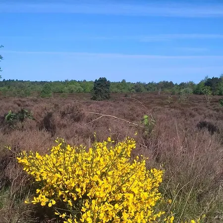 아파트 Witthoehn 8 쿡스하펜