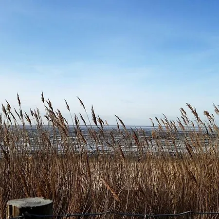 Witthoehn 8 쿡스하펜