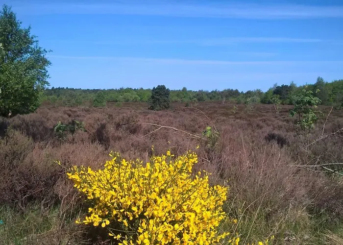 Lägenhet Witthoehn 8 Cuxhaven