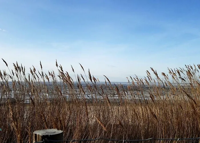 Witthoehn 8 Cuxhaven